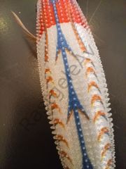 Captain 3028 Kalamar Zokası 8cm Toto Zogga Glow Deri Kaplama