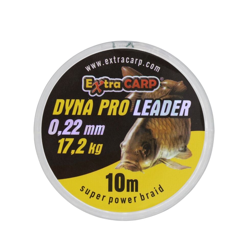 Dyna Pro Sazan Misinası