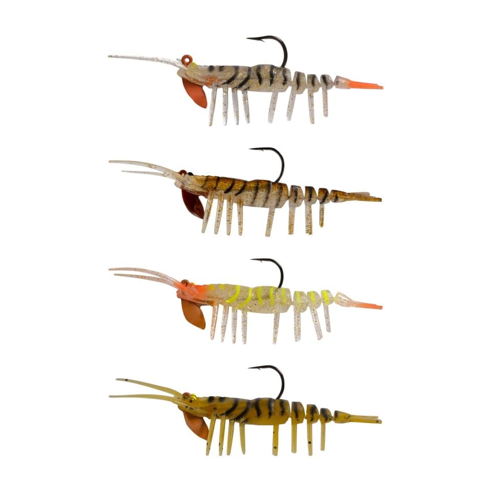 Effe Sasi Caridina HG07