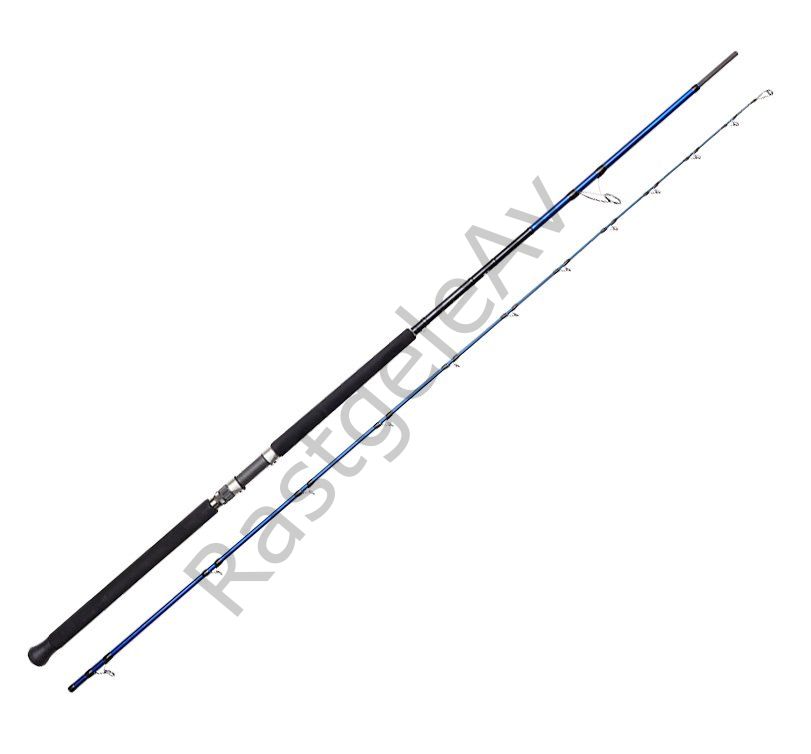 Savage Gear SGS6 Shore Jigging 10'/3.05m 60-150 gr 2 Parça