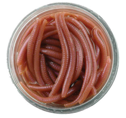 Berkley Gulp Alive Angle Worm Sahte Kurt NAT - 3CM