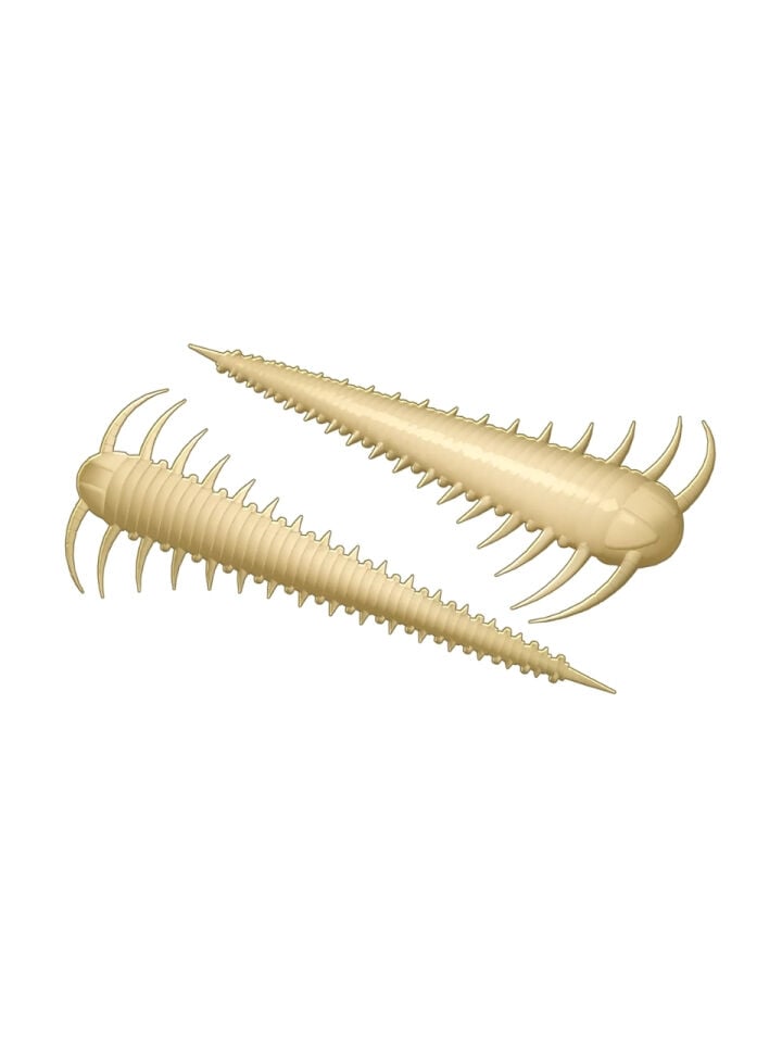 Libra Lures Slayzur Suni Yem CHEESE CHEESE 005 - 55MM