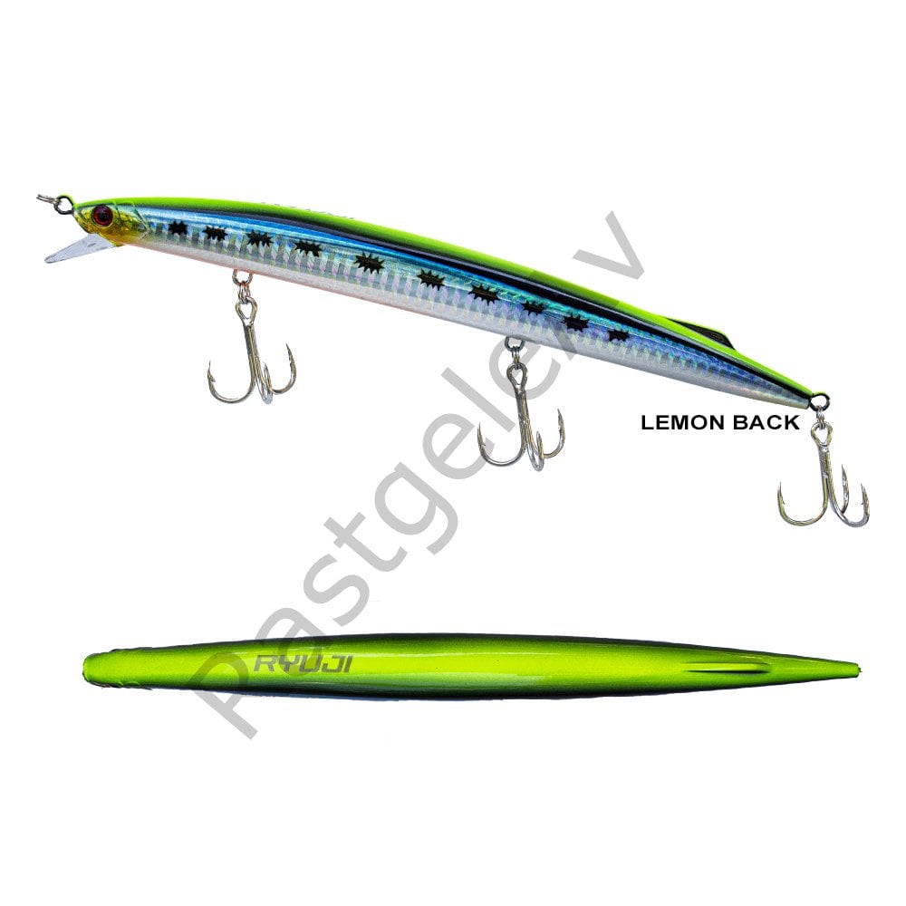 Ryuji Master Jerk Sinking 190mm 36gr Hard Bait
