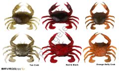 Savage gear LB 3D Manic Crab 5 cm 4 Adet Suni Yem Orange Belly Crab