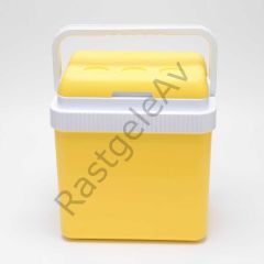 Icepeak SF26 Taşıma Çantası Buzluk 26 Litre