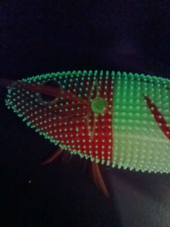 Captain 3028 Kalamar Zokası 8cm Toto Zogga Glow Deri Kaplama