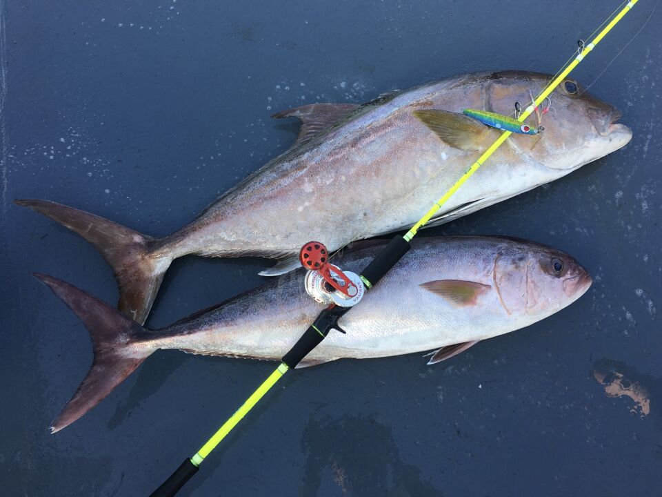 Kaido Light Jigg.Rod Casting Chartreuse KB-632MLS