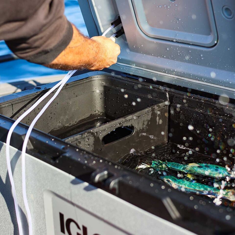 IGLOO CoreMAX 100 Tekerlekli Buzluk 100 Litre