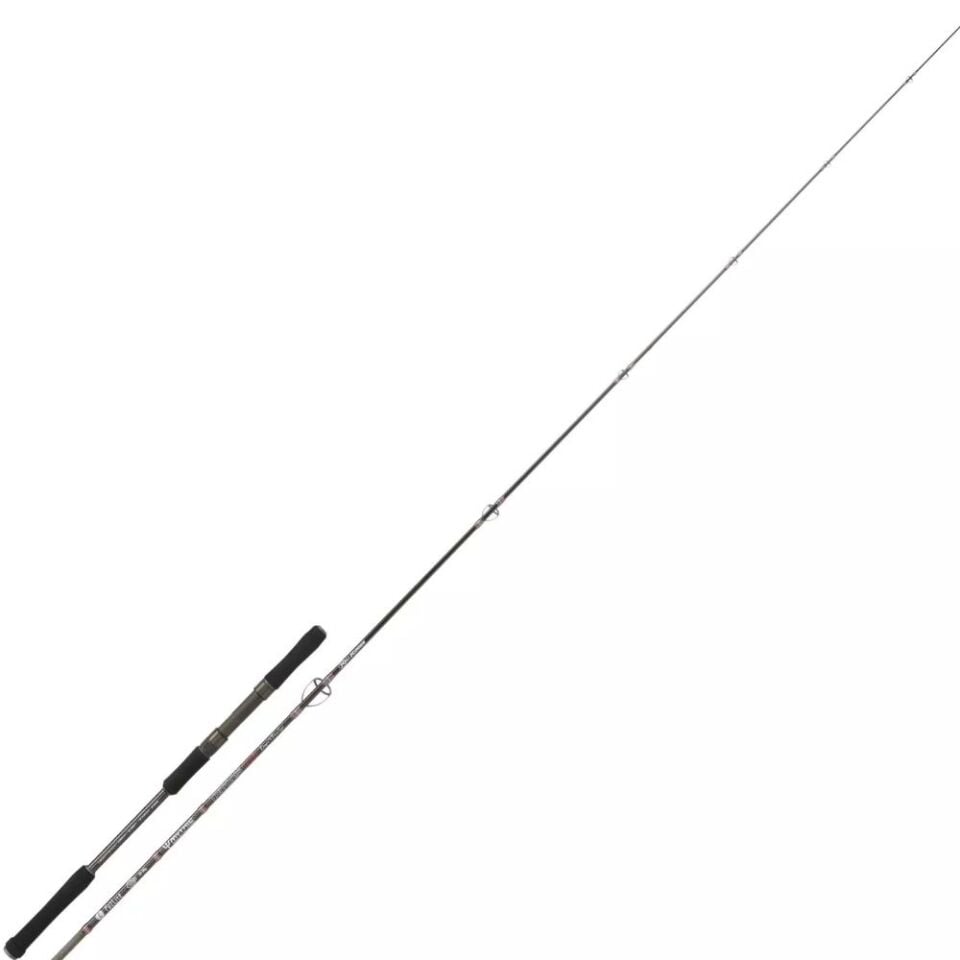 Kali Kunnan Tritonis Jig Olta Kamışı