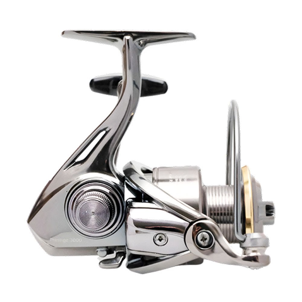 Remixon Prestige 3000M 5+1BB Spin olta makinası