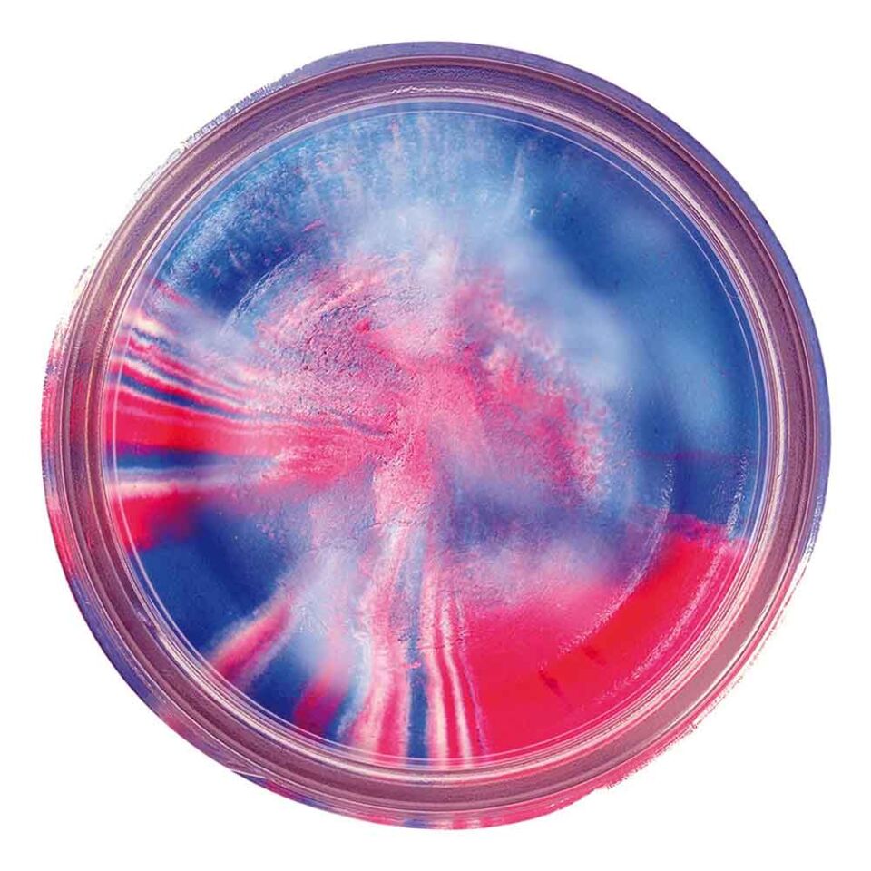 Berkley Powerbait Natural Scent Glitter Garlic Sahte Yemi CAPTAIN AMERICA - 50 GR