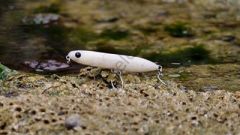 Fiiish Biotop Stick 100mm 15gr White Pepper Suni Yem