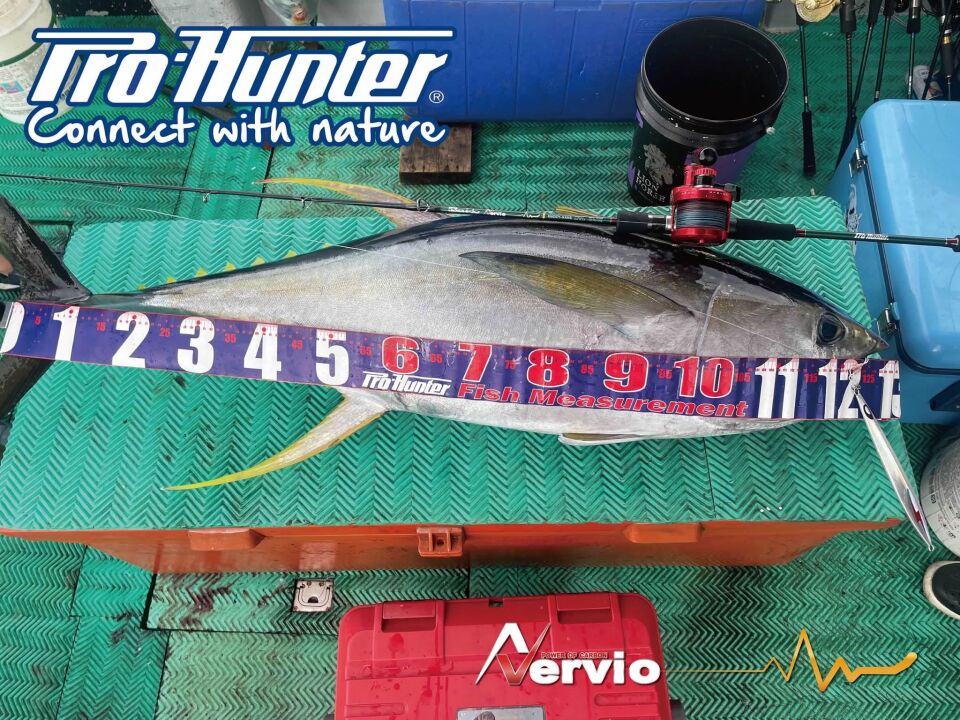 Kaido-Nervio Solid Caron Baitcast Rod KNC591-XHS J