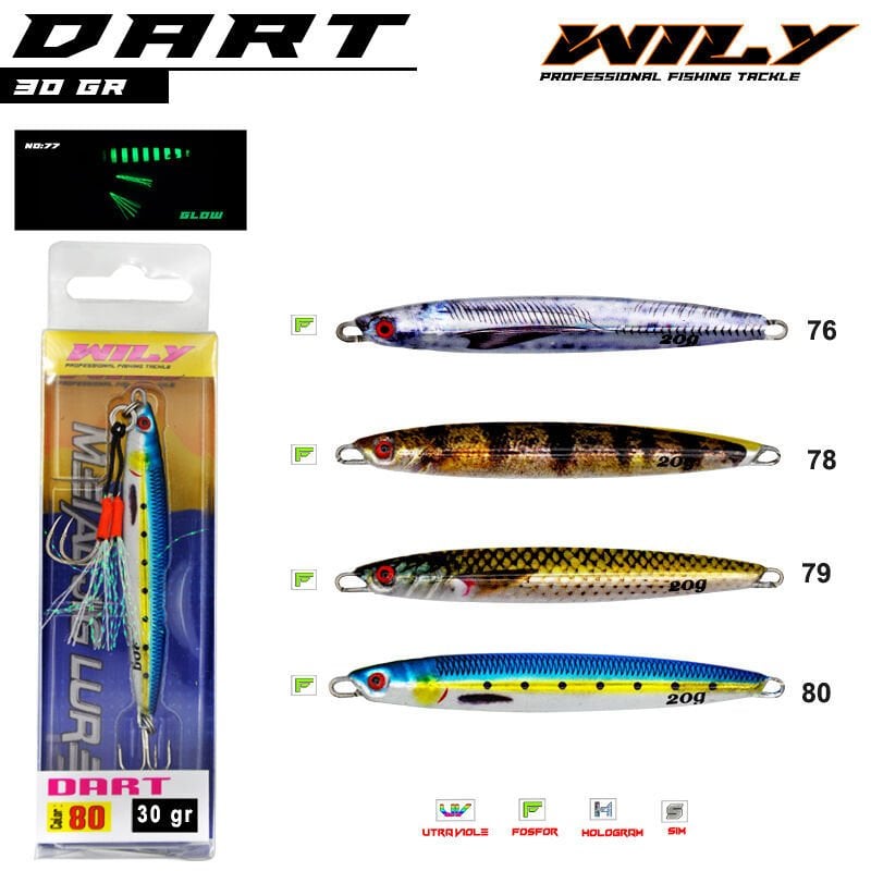 Wily Dart Jig 30 gr