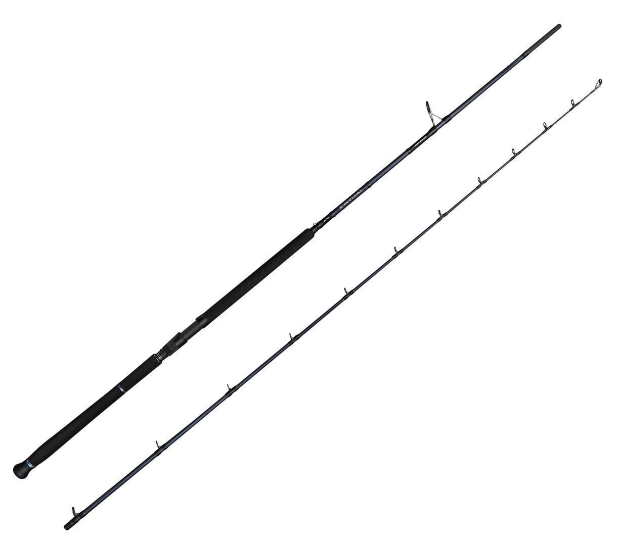 Savage Gear Defiance SG2 Shore Jig 3.05m 30-100gr 2 Parça Olta Kamışı