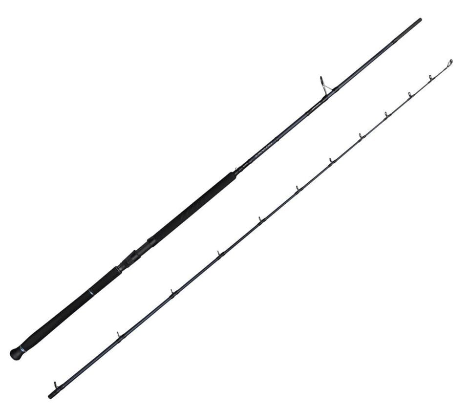 Savage Gear Defiance SG2 Shore Jig 2.90m 50-120gr 2 Parça Olta Kamışı