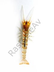 Captain 3049 Magic Shrimp 3D Silikon Karides 76mm 5.5gr Suni Yem