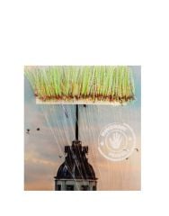 İstavrit Kösteği UV-GLOW Simli Youvella Kartonda 50 Sarı İğne 0.15mm Köstek